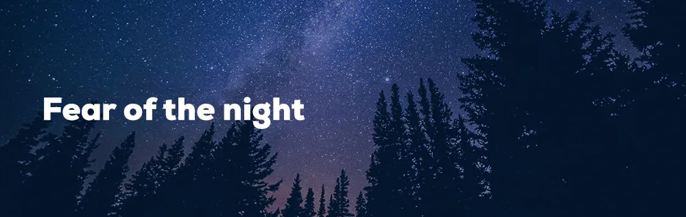 Fear of the Night