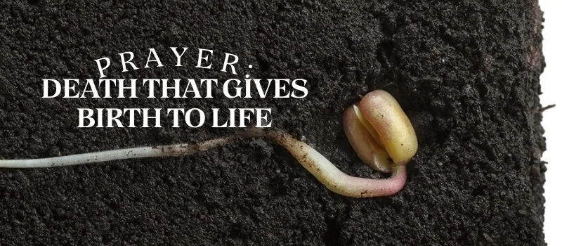 Prayer: Death that gives birth to life