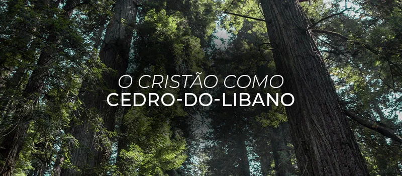 O Cristão como Cedro-do-Líbano