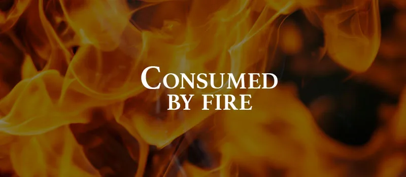 Consumed by fire