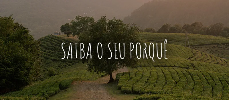 Saiba o seu porquê