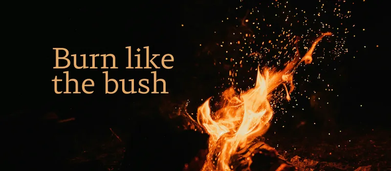 Burn like the bush