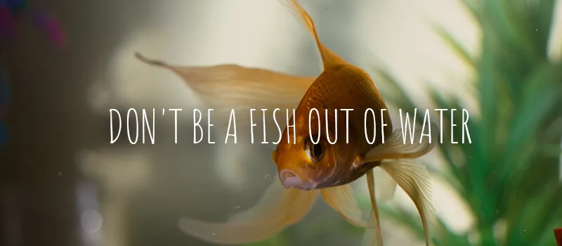 Don’t be like a fish out of water