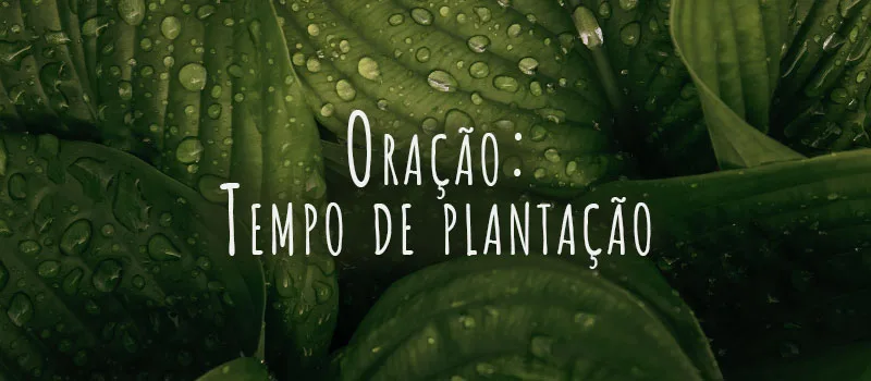 Oração: Tempo de plantação