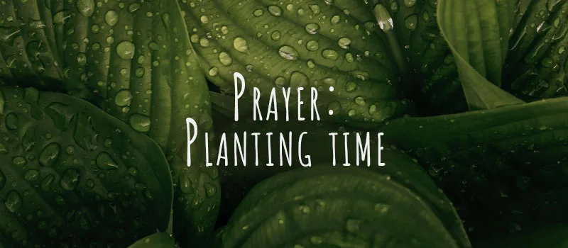 Prayer: Planting time
