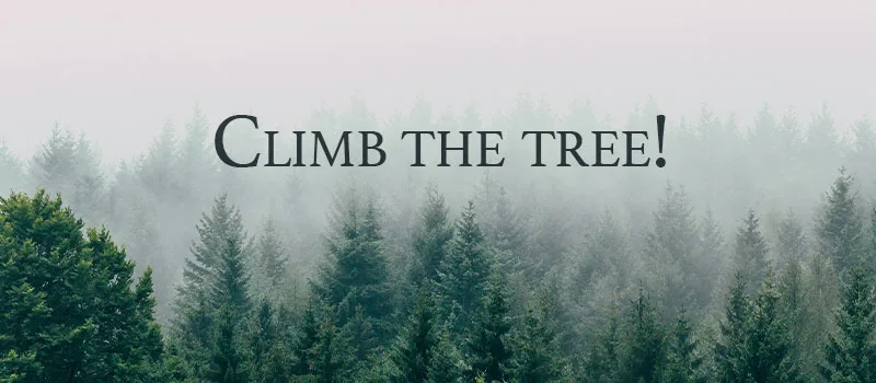 Climb the tree!