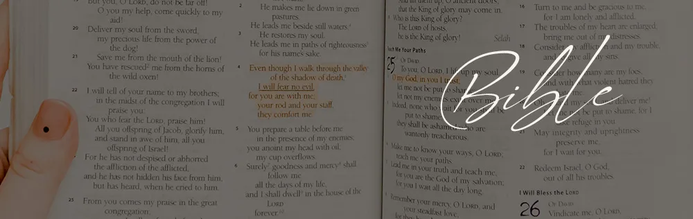What is the importance of the Bible?
