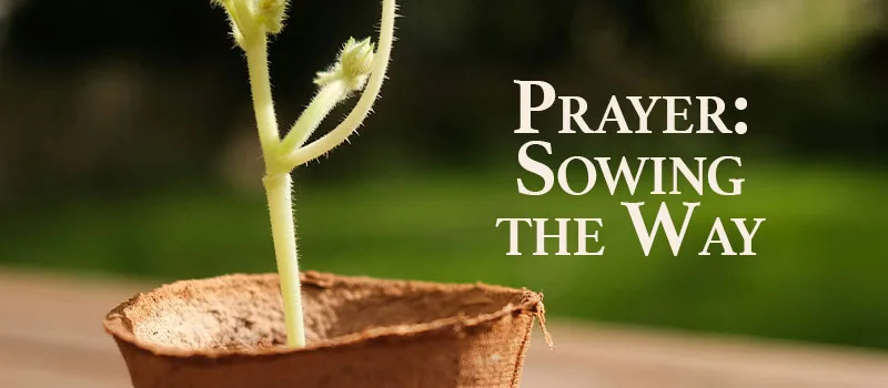 Prayer: Sowing the Way