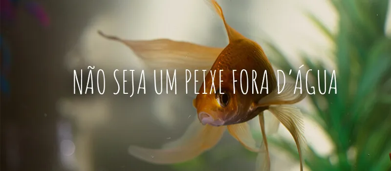 Não seja como um peixe fora d’água