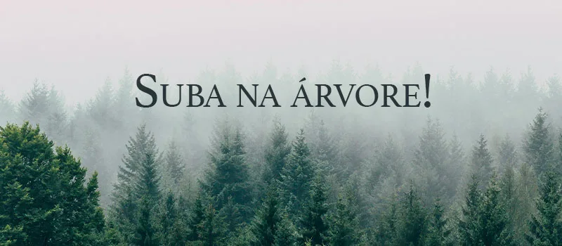 Suba na árvore!