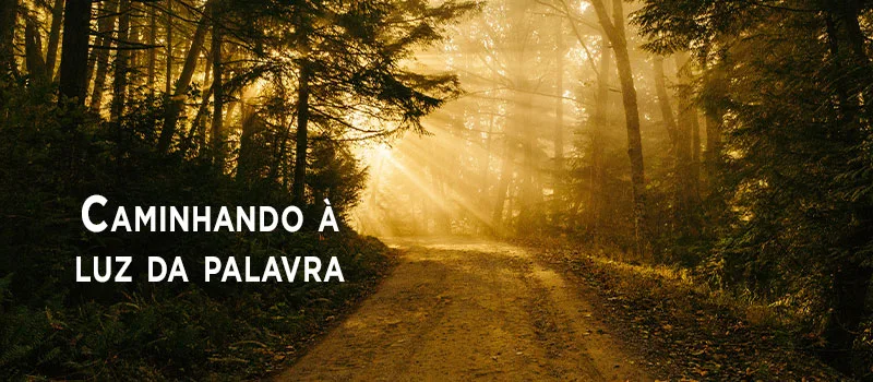 Caminhando à luz da palavra
