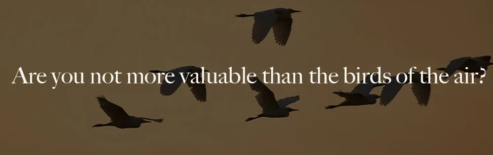 Are you not more valuable than the birds of the air?