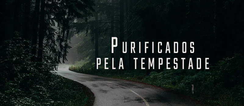 Purificados pela tempestade