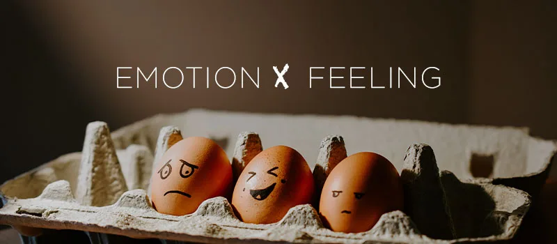 Emotion vs Feeling