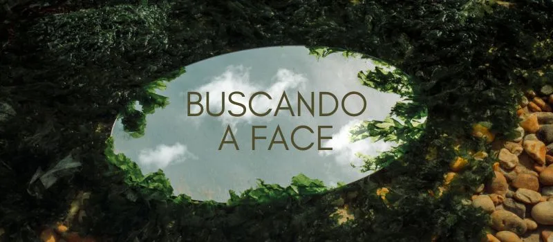 Buscando a face