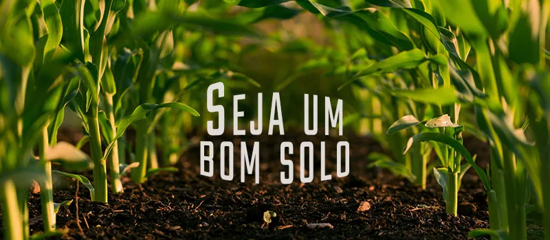 Seja um bom solo