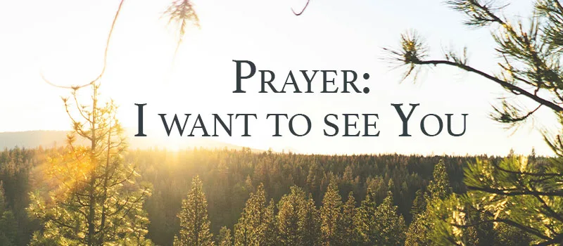 Prayer: I want to see You