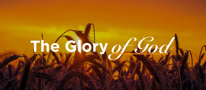 Everything for the Glory of God