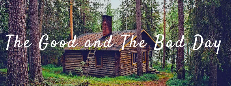 The good day and the bad day