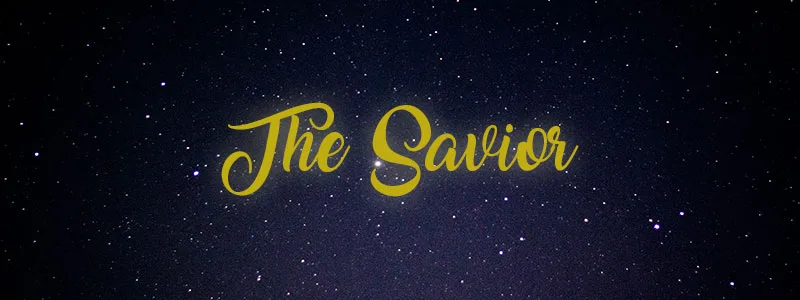 Why does the world need a Savior?