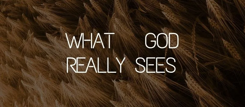 What God really sees