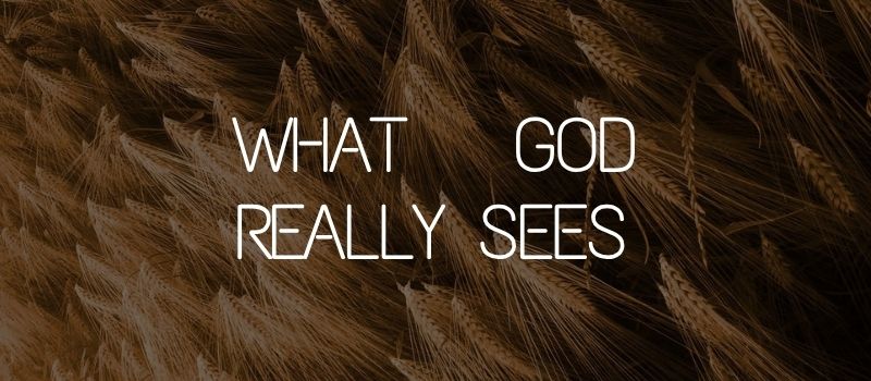 What God really sees